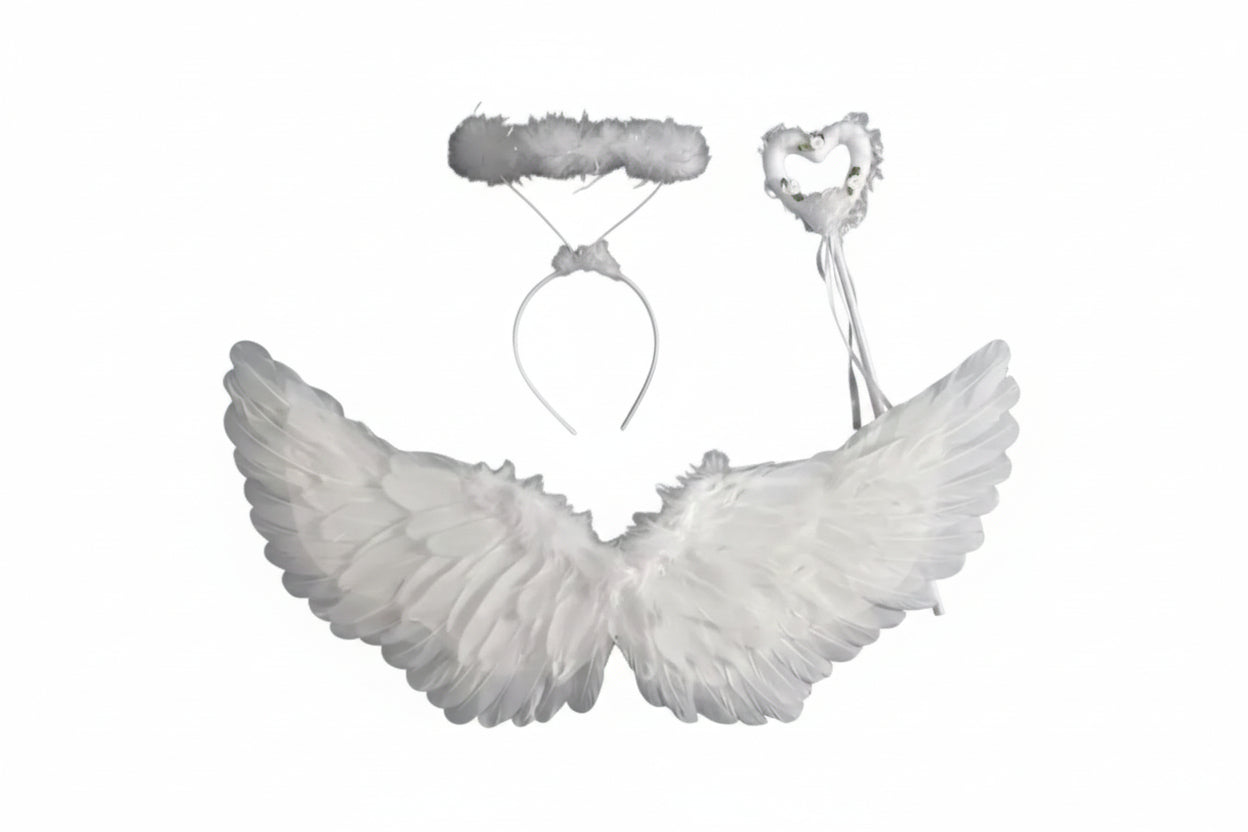 Fairy angel wings halo kit
